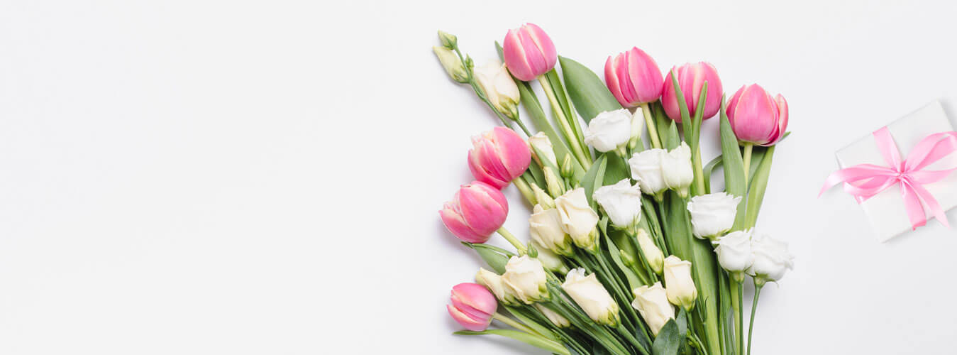 Tulips Collection