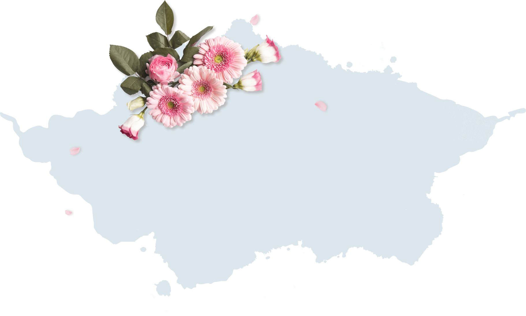 Rose Design PK
